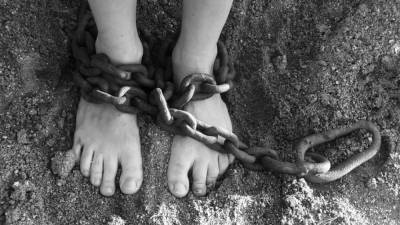 Полиция задержала рабовладельца в Харьковской области