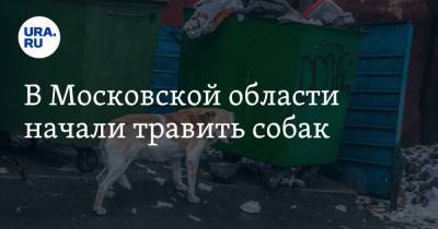 В Московской области начали травить собак