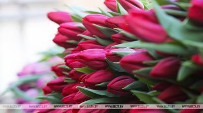 Большой цветочный базар на Комаровском рынке откроется 5 марта