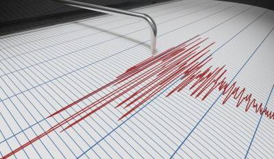 Второе мощное землетрясение произошло у берегов Новой Зеландии