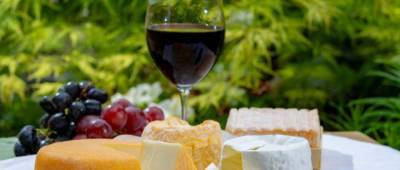 Ученые объяснили, почему сыр – лучшая закуска к вину