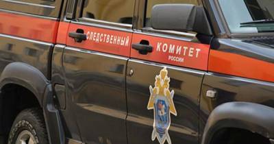 Матери погибшей при пожаре в Подольске девочки предъявили обвинение