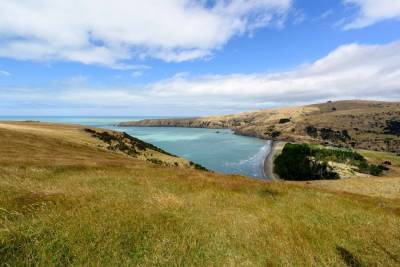 Третье за день мощное землетрясение зафиксировали у берегов Новой Зеландии
