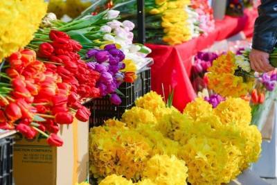 К 8 Марта волгоградцы смогут купить цветы на 90 площадках