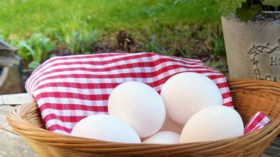 Союз птицеводов спрогнозировал снижение цен на мясо птицы и яйца