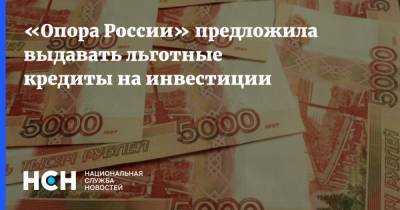 «Опора России» предложила выдавать льготные кредиты на инвестиции