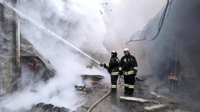 МЧС сообщило о выросшем числе погибших в пожарах