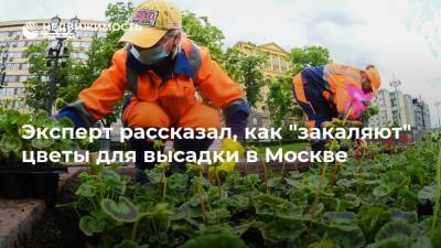 Эксперт рассказал, как "закаляют" цветы для высадки в Москве