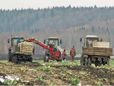 Фермеры Кунгурского района получают государственную поддержку