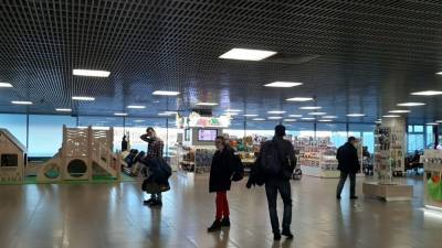 Платную регистрацию в аэропортах предлагают реализовать в России