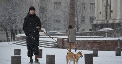 Москвичей предупредили о погоде «с мужским характером» на 8 Марта