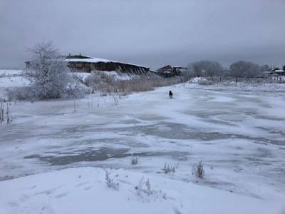 В Челябинской области фекалиями затопило чистое озеро