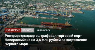 Росприроднадзор оштрафовал торговый порт Новороссийска на 3,6 млн рублей за загрязнение Черного моря