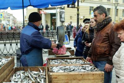 Ледовая обстановка может сократить улов корюшки в Петербурге