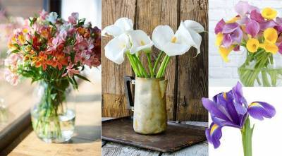 Цветы к 8 марта: ТОП 10 самых устойчивых цветов для праздничного букета