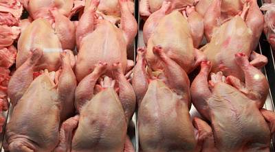 Цены на мясо курицы в России снизятся в апреле-мае