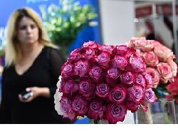 Россиянки назвали цветы самым желанным и бесполезным подарком на 8 Марта
