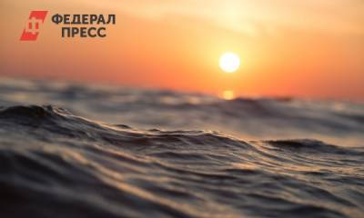 Роспотребнадзор: Новороссийский морпорт загрязнял Черное море