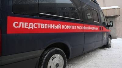 Жительница Татарстана задушила сына и покончила с собой