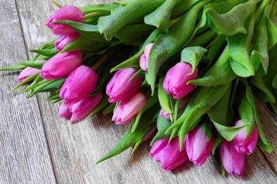 Россиянки назвали цветы самым бесполезным подарком на 8 марта