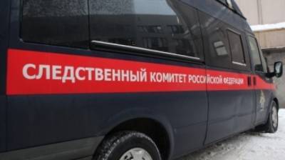 Жительница Татарстана покончила с собой после убийства сына