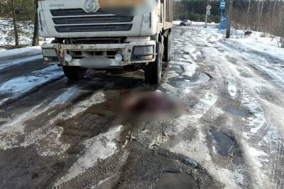 В Твери опубликовали фото с места ДТП, где грузовик сбил человека