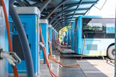 На трёх маршрутах во Франкфурте появится больше электробусов