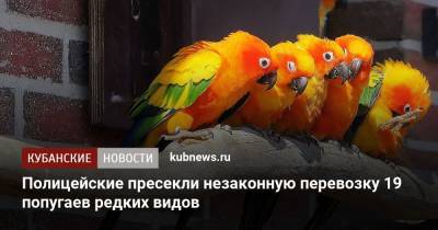 Полицейские пресекли незаконную перевозку 19 попугаев редких видов