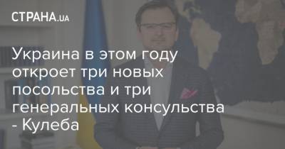 Украина в этом году откроет три новых посольства и три генеральных консульства - Кулеба