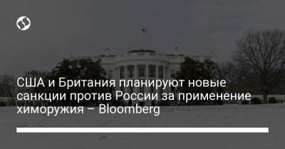 США и Британия планируют новые санкции против России за применение химоружия – Bloomberg