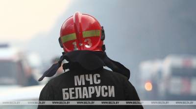В Ветковском районе при пожаре дома погибли сыновья хозяйки
