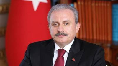 Визит спикера парламента Турции в Украине отложили из-за гибели военных