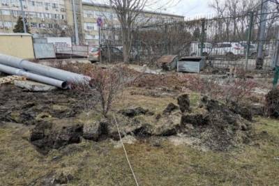 Глава Краснодара отреагировал на жалобы о разрушении бульвара
