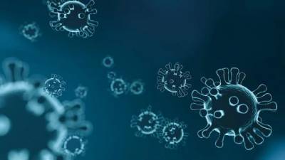 ВОЗ назвала сроки окончания пандемии коронавируса