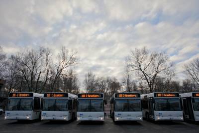 Часть автобусных маршрутов Петербурга вернется к доковидным объемам перевозок