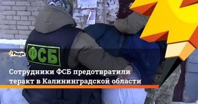 Сотрудники ФСБ предотвратили теракт в Калининградской области