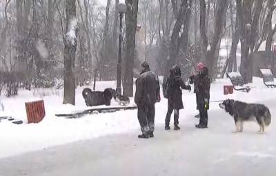 Снег и морозы возвращаются в Украину, непогода накроет не одну область: когда ждать стихии