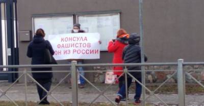 «Программа СС Lebensborn в действии?»: пикет у дипмиссии ФРГ в Калининграде