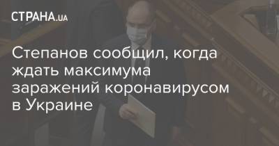 Степанов сообщил, когда ждать максимума заражений коронавирусом в Украине