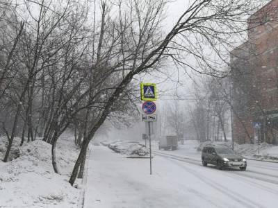 Снегопад, который продержится до 7 марта, накрыл Москву