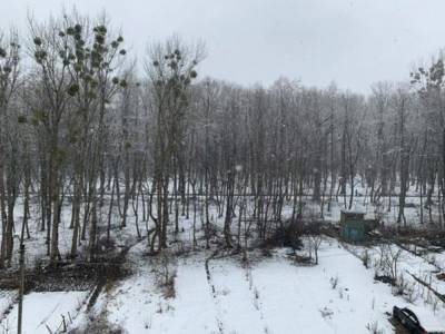 Зима вернулась: Львов снова засыпало снегом – фото