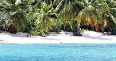 В АТОР рассказали, смогут ли туристы полететь на Сейшельские острова