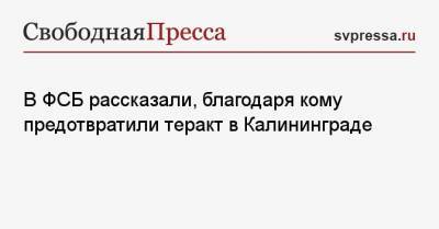 В ФСБ рассказали, благодаря кому предотвратили теракт в Калининграде