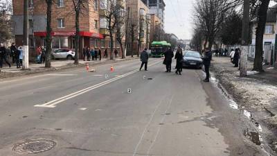 В Житомире водитель на переходе сбил насмерть женщину и 2 собак