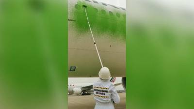 Новости на "России 24". Активисты GreenPeace выкрасили в зеленый самолет в аэропорту Парижа