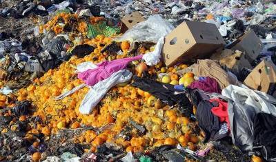 Доклад ООН: каждый год на Земле выбрасывается почти 1 миллиард тонн еды