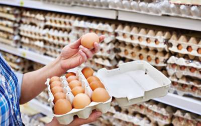 Производство мяса в России может сократиться из-за нехватки яиц