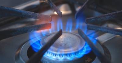 Михаил Гончар - Фиксированная цена на газ может негативно отразиться на сотрудничестве с МВФ, — эксперт - delo.ua