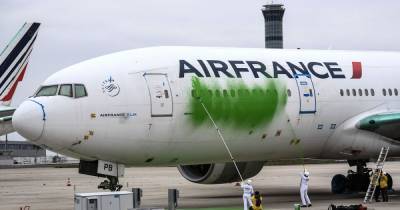 В Париже активисты Greenpeace раскрасили самолет в зеленый цвет (видео)