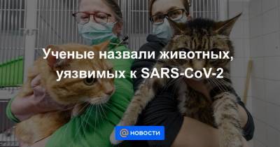 Ученые назвали животных, уязвимых к SARS-CoV-2